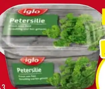 Aldi Nord Petersilie Angebot