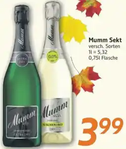 inkoop Mumm Sekt Angebot