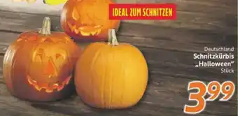 inkoop Schnitzkürbis ,,Halloween" Angebot