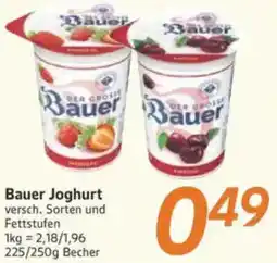 inkoop Bauer Joghurt Angebot