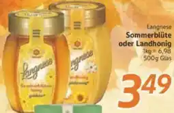 inkoop Langnese Sommerblüte oder Landhonig Angebot