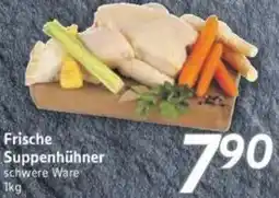 inkoop Frische Suppenhühner Angebot
