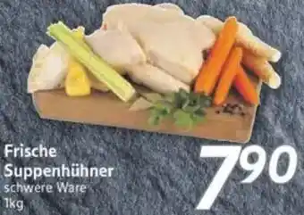 inkoop Frische Suppenhühner Angebot