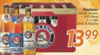 inkoop Paulaner Angebot