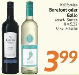 inkoop Kalifornien Barefoot oder Gallo Angebot