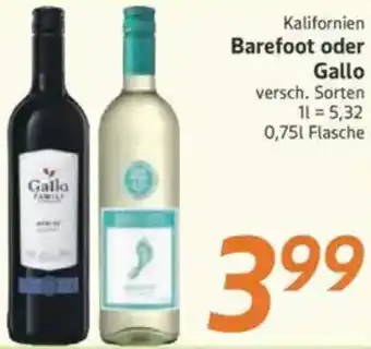 inkoop Kalifornien Barefoot oder Gallo Angebot