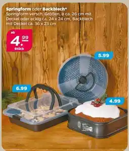 NETTO Springform oder Backblech Angebot