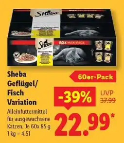 Lidl Sheba Geflügel/Fisch Variation Angebot
