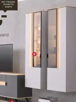 XXXLutz Dieter Knoll Wohnwand Angebot