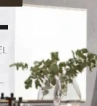 XXXLutz Dieter Knoll Wandspiegel Angebot