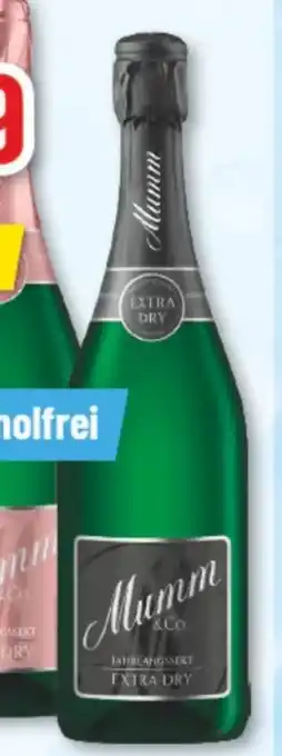 trinkgut Mumm & Co. Jahrgangssekt Angebot