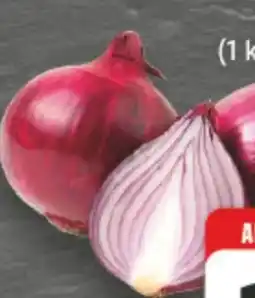 E-Center Edeka Mein Land Bio Zwiebeln Angebot