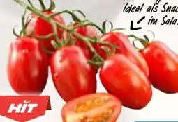 AEZ Hit Mini Romarispentomaten Angebot
