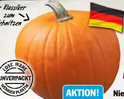 AEZ Halloween Kürbis Angebot
