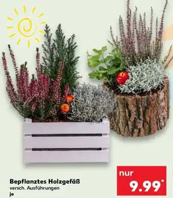 Kaufland Bepflanztes Holzgefäß Angebot