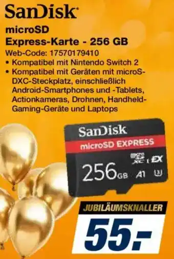 Expert SanDisk microSD Express-Karte 256 GB Angebot
