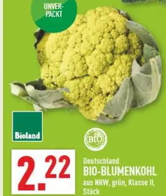 Marktkauf Bioland bio-blumenkohl Angebot