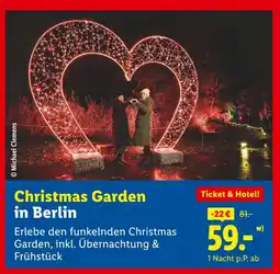 Lidl Christmas garden in berlin Angebot