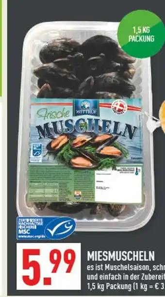Marktkauf Witt frische miesmuscheln Angebot