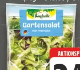 E-Center Bonduelle Garten-Mix Angebot