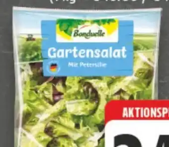 E-Center Bonduelle Garten-Mix Angebot