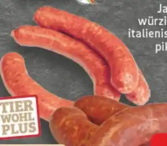 E-Center Edeka Mein Land Bratwurst Angebot