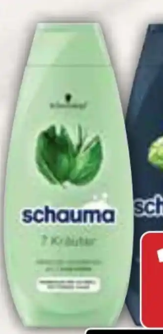 AEZ Schwarzkopf Schauma Shampoo Angebot