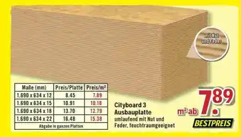 B1 Discount Baumarkt Cityboard 3 Ausbauplatte Angebot