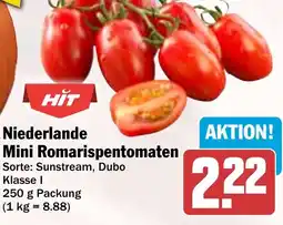 HIT Niederlande Mini Romarispentomaten Angebot
