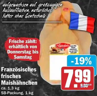 HIT Französisches frisches Maishähnchen Angebot