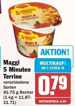 HIT Maggi 5 Minuten Terrine Angebot