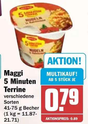 HIT Maggi 5 Minuten Terrine Angebot