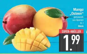 E-Center Mango ,,Osteen" Angebot