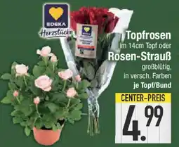 E-Center Topfrosen oder Rosen-Strauß Angebot
