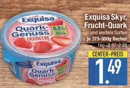 E-Center Exquisa Skyr, Frucht-Quark Angebot