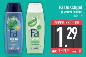 E-Center Fa Duschgel Angebot
