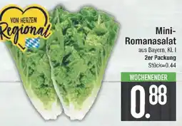 E-Center Mini- Romanasalat 2er packung Angebot