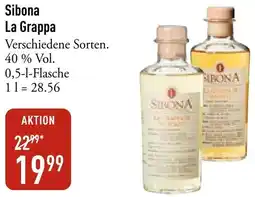 Galeria Markthalle Sibona La Grappa Angebot