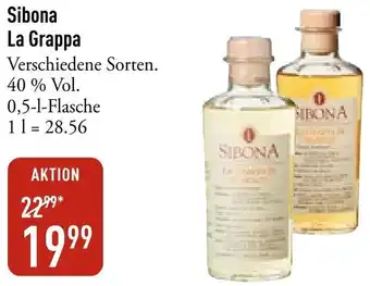 Galeria Markthalle Sibona La Grappa Angebot