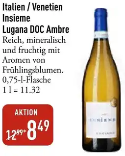Galeria Markthalle Italien / Venetien Insieme Lugana DOC Ambre Angebot