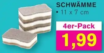 KODi Schwämme Angebot