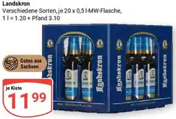 Globus Landskron Angebot
