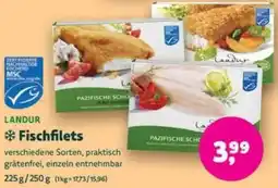 Biomarkt LANDUR Fischfilets Angebot