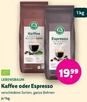 Biomarkt LEBENSBAUM Kaffee oder Espresso Angebot