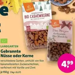 Biomarkt LANDGARTEN Gebrannte Nüsse oder Kerne Angebot