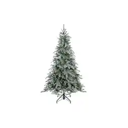 Netto Marken-Discount Evergreen Weihnachtsbaum Fichte Frost 180 cm Angebot
