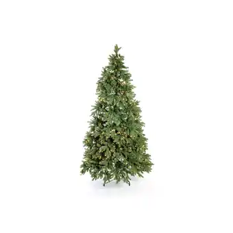 Netto Marken-Discount Evergreen Weihnachtsbaum Roswell Kiefer 210 cm Angebot