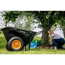 Netto Marken-Discount Polar Schubkarre versch. Ausführungen Angebot