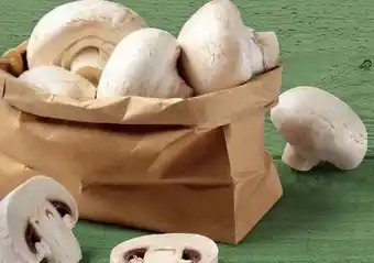 Lidl Champignons Angebot