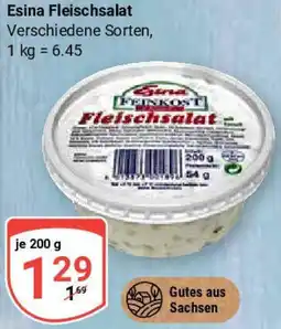 Globus Esina Fleischsalat Angebot